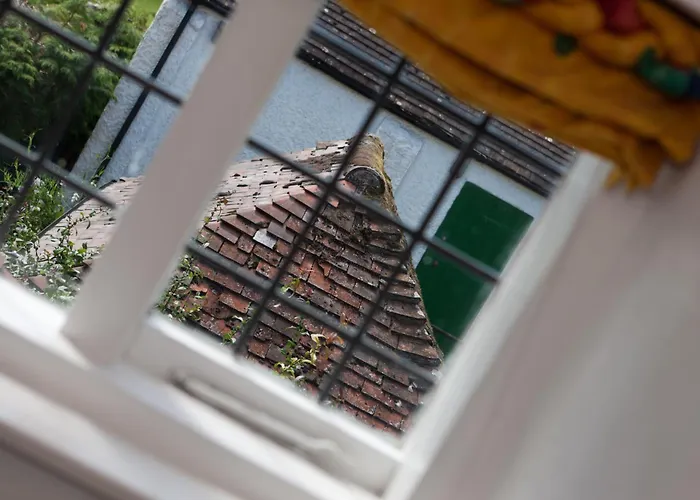 Shakespeare\'S View