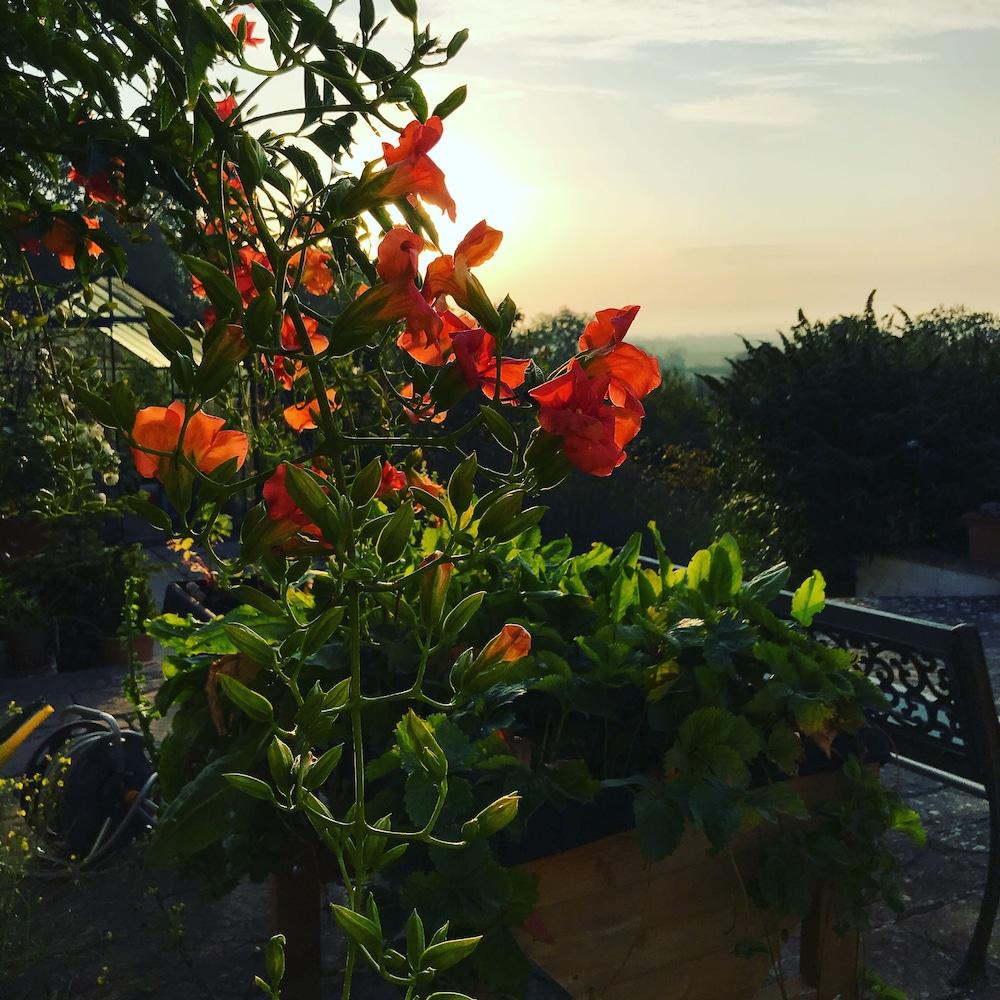 Shakespeare's View 5* Snitterfield