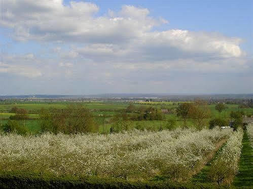 Shakespeare's View 5*
