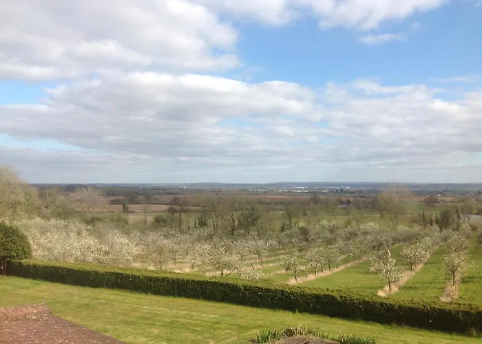 Shakespeare\'S View