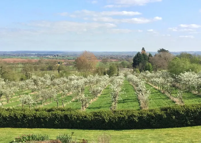 Shakespeare\'S View