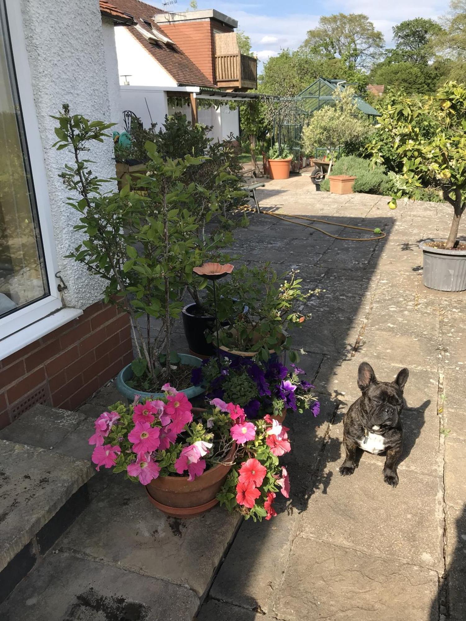 Shakespeare's View 5* Snitterfield