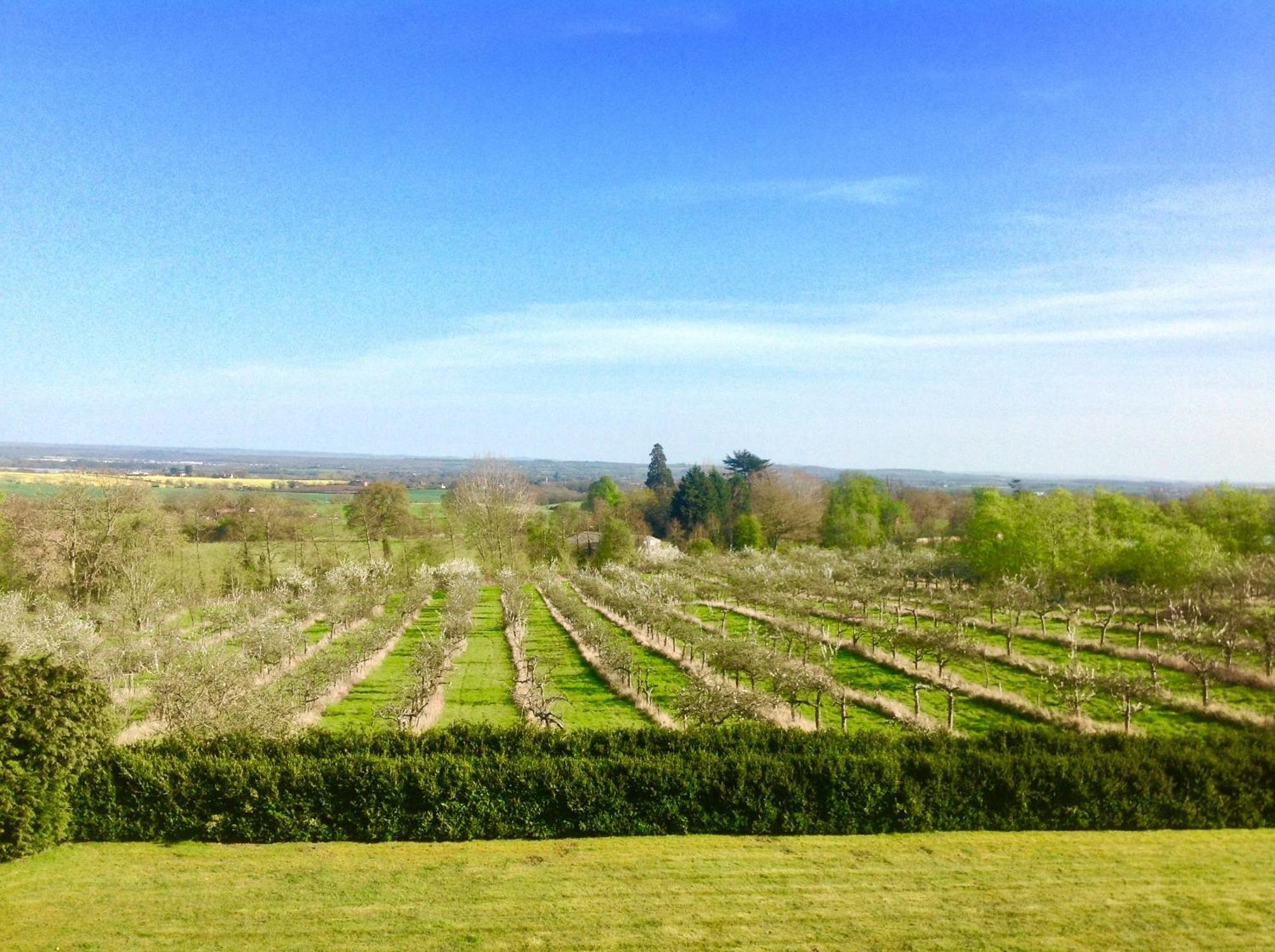 Shakespeare's View