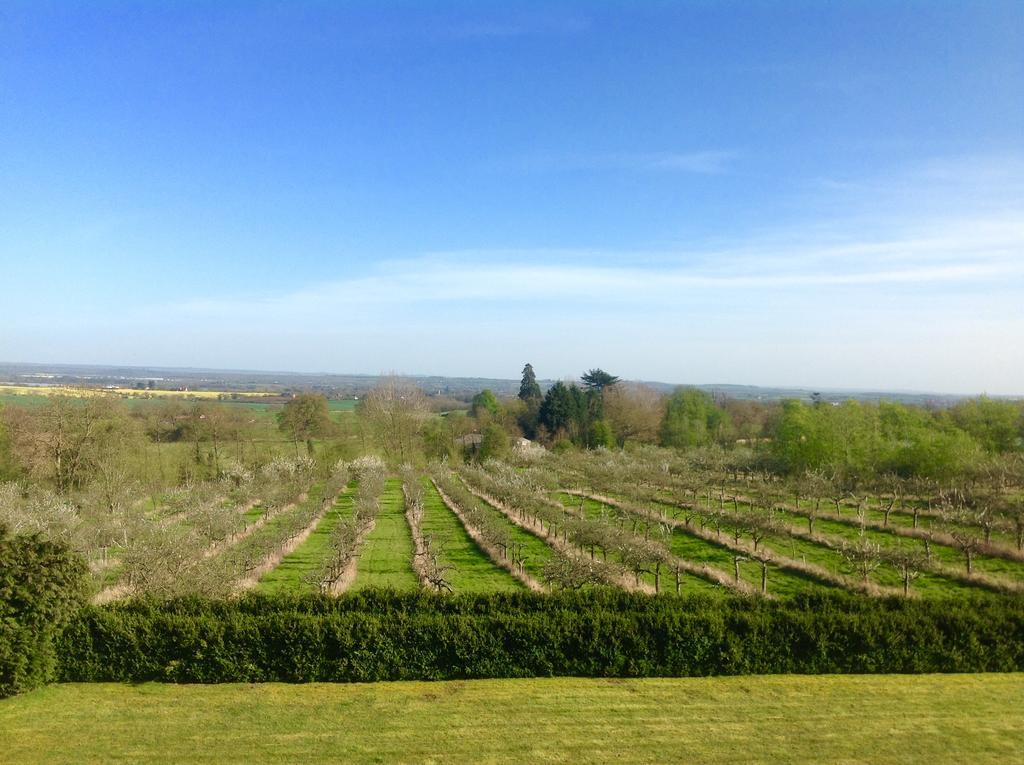 Гостевой дом Shakespeare's View 5*